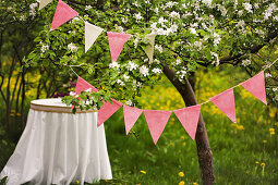 Round table below bunting hung from flowering cherry tree