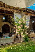 Terrasse mit Rosenstrauch an einer Säule