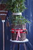 Zusammengebundene Bambuspflanze mit weihnachtlich dekoriertem Winterschutz