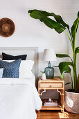 Banana plant next to bed in bedroom with topical ambience