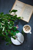 Leafy twigs, open book and cup of coffee on black surface