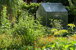 Natural Garden With Greenhouse