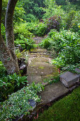 Path through lush green garden to round terrace places on the slope