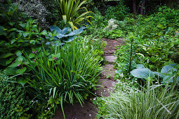 Path out of old millstones through a shady perennial garden