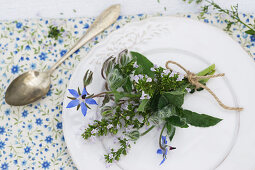 Posy of calamint and borage on plate