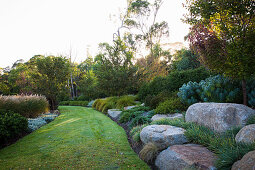 Lawn path leads through the garden, Tulbaghia between rocks, Carex species and lamp cleaner grasses