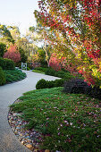 Paved path in autumn garden