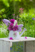 Lilac in ornamental watering can in garden