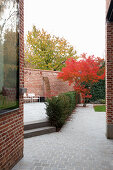Japanese maple with autumn foliage in paved back courtyard garden with terrace