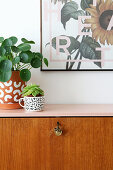 Houseplants on retro bureau restored and given pink top