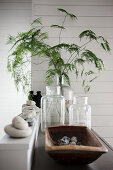 Asparagus fern in old glass bottle and arrangement of pebbles in wooden trough