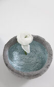 Top view of concrete-effect bowl and ranunculus