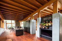 Open-plan kitchen in sustainable, architect-designed house