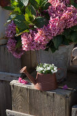 Rusty metal watering can decorated with copper wire and used as planter