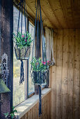 Macrame hanging planters in summer house
