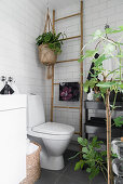 Wooden ladder and houseplant in hanging basket next to toilet in white-tiles bathroom
