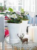 Stag figurine in front of hellebores in white planters on small table