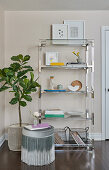 Glass and stainless shelving filled with books, flowers and various items, potted fig tree and stool with ombre fringe