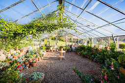Large greenhouse with gravel bed and ornamental plants in plant pots