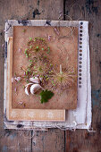 Vintage-style arrangement with garlic cloves and garlic flowers