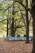 Lange Tafel mit blauer Tischdecke im herbstlichen Wald