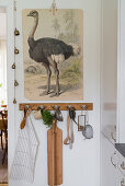 Vintage illustration of ostrich above kitchen utensils hanging from row of hooks
