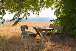Rustikaler Holztisch mit Bänken unter Linde, im Hintergrund abgeerntete Felder