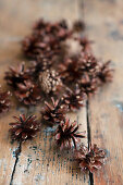 Pine cones on wooden surface