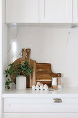 Green plant, fresh eggs, salt and pepper shakers and wooden boards on a white kitchen cabinet