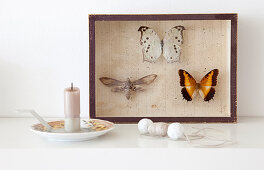 Butterflies mounted in picture frame, candle holder and bead necklace