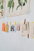 Collage of papers and botanical drawings hung on wall with washi tape