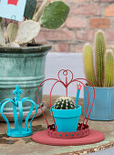 Blue painted planter with cactus under a red decorative crown