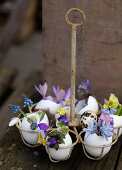 Old egg holder with spring flowers in egg shells as vases