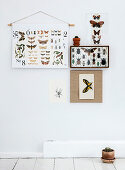 Insektenkasten, Poster mit Schmetterling-Motiv und Postkarten als Wanddeko