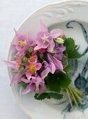 A bouquet of pink columbines and pink strawberry blossoms
