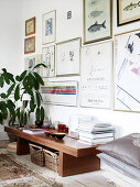 Holzbank mit Büchern und Schälchen und Zimmerpflanze im Wohnzimmer mit Bildersammlung