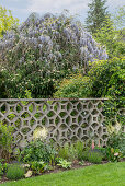 View of wisteria seen over decorative concrete fence