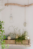 Autumnal arrangement in long wooden planter below ornaments hung from branch