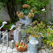 Autumn decoration with rose hips, zinc pots, and hydrangea