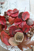 Autumnal arrangement of leaves, acorns and box with hand-drawn owl on inside base