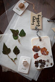 Gift tags and handmade scented wax tablets with flowers and leaves