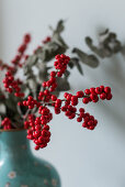 Sprigs of red holly berries and eucalyptus in blue vase