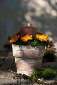 Arrangement of marigolds, candle and moss in terracotta pot