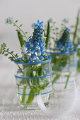 Blue grape hyacinths and forget-me-nots in shot glasses