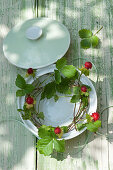 Tendrils of mock strawberry in soup tureen decorating table