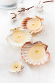 Handmade tealights in scallop shells