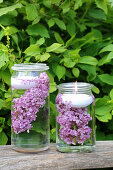 Candle lanterns made from preserving jars filled with water, lilacs and floating candles