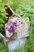 Basket of lilacs, aquilegia and branches of chestnut leaves
