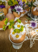 Daisies in eggshell