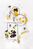 Dried and pressed violas, pansies and mimosa flowers in wire frames